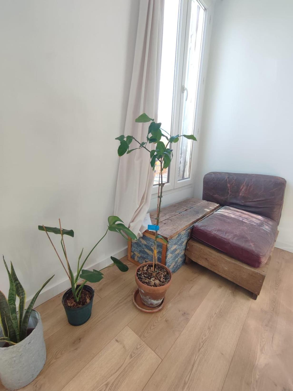 Sunny And Fully Furnished Duplex In